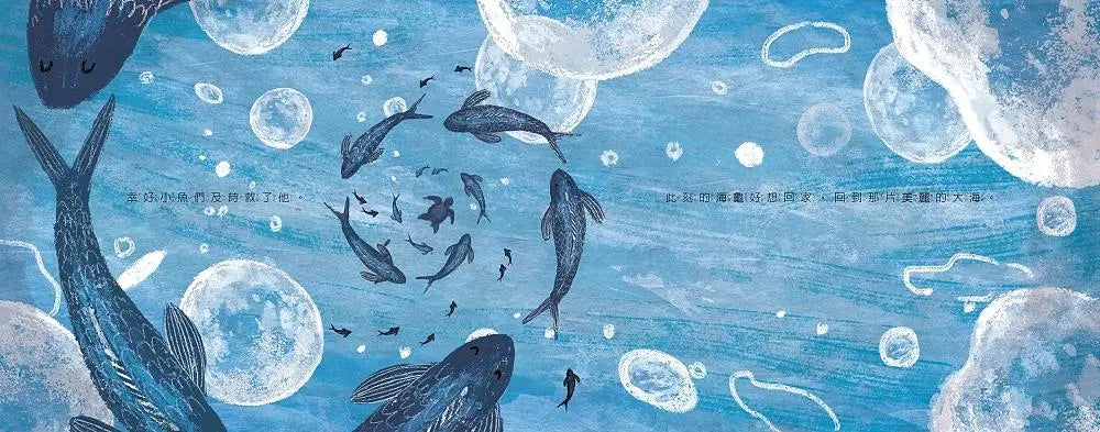 海龜與海