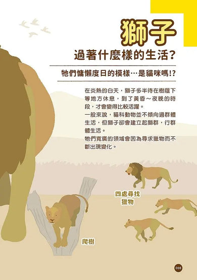 黑熊太胖了怎麼辦? 你不知道的動物園小祕密-Graphic novels/ Comic books/ Manga/ Cartoons-買書書 BuyBookBook
