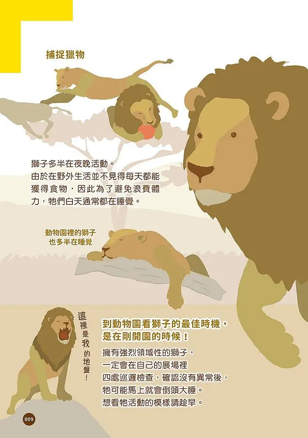 黑熊太胖了怎麼辦? 你不知道的動物園小祕密-Graphic novels/ Comic books/ Manga/ Cartoons-買書書 BuyBookBook