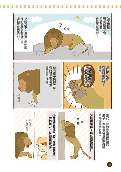 黑熊太胖了怎麼辦? 你不知道的動物園小祕密-Graphic novels/ Comic books/ Manga/ Cartoons-買書書 BuyBookBook