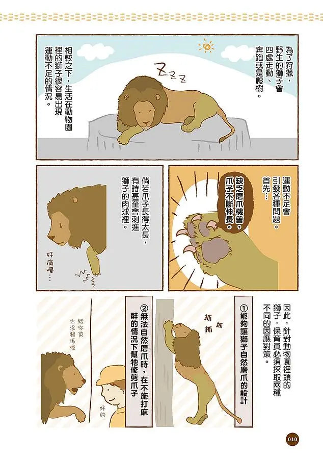 黑熊太胖了怎麼辦? 你不知道的動物園小祕密-Graphic novels/ Comic books/ Manga/ Cartoons-買書書 BuyBookBook