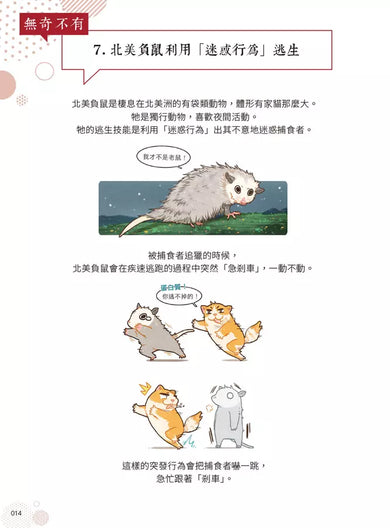 漫畫科普冷知識王4:世界其實很有哏,生活可以多點彈性!-Children’s / Teenage general interest: General knowledge and interesting facts-買書書 BuyBookBook