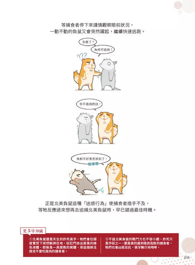漫畫科普冷知識王4:世界其實很有哏,生活可以多點彈性!-Children’s / Teenage general interest: General knowledge and interesting facts-買書書 BuyBookBook
