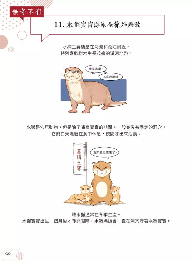 漫畫科普冷知識王4:世界其實很有哏,生活可以多點彈性!-Children’s / Teenage general interest: General knowledge and interesting facts-買書書 BuyBookBook