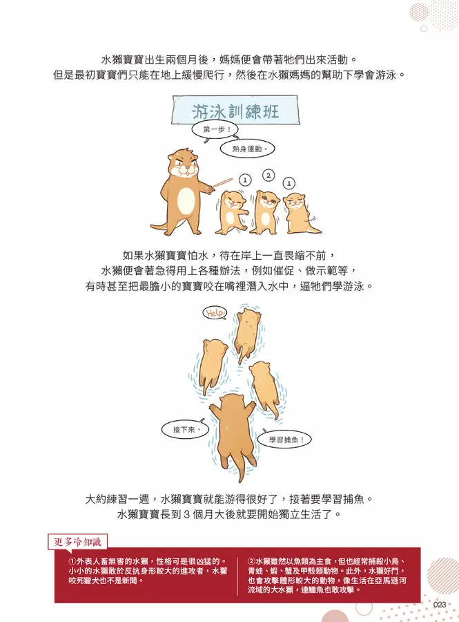 漫畫科普冷知識王4:世界其實很有哏,生活可以多點彈性!-Children’s / Teenage general interest: General knowledge and interesting facts-買書書 BuyBookBook