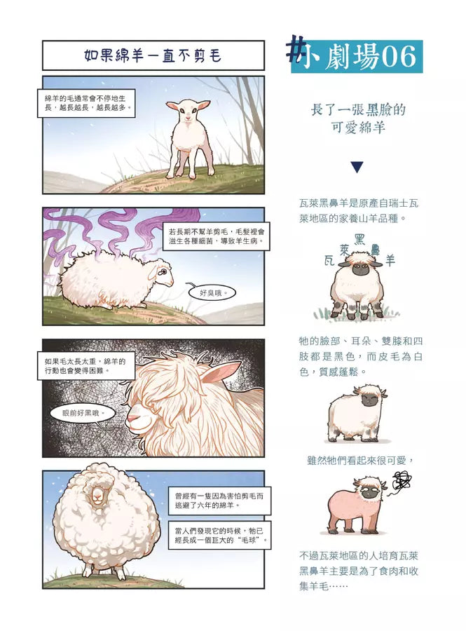 漫畫科普冷知識王4:世界其實很有哏,生活可以多點彈性!-Children’s / Teenage general interest: General knowledge and interesting facts-買書書 BuyBookBook