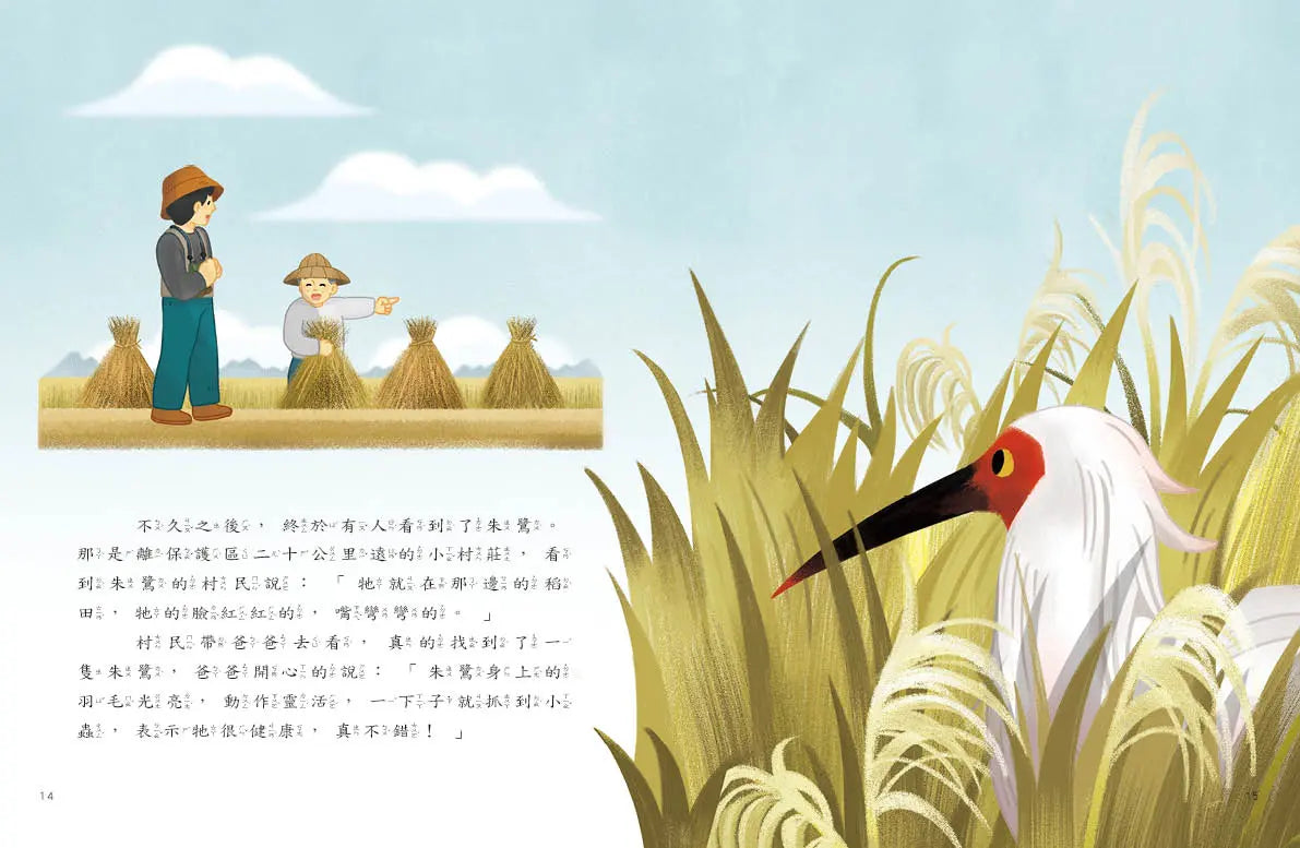 愛的故事‧知識繪本12:尋找朱鷺五萬里