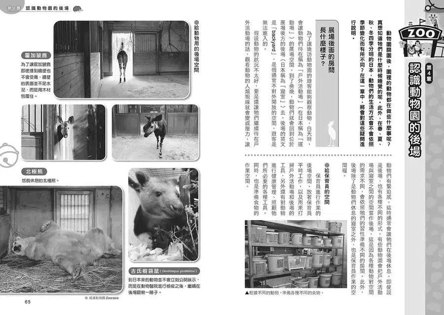 哆啦A夢知識大探索#06 動物園祕密列車 (藤子‧F‧不二雄)-非故事: 常識通識 General Knowledge-買書書 BuyBookBook