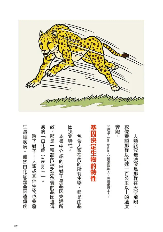 奇妙卻很實用!動物演化知識小百科 (今泉忠明)-Children’s / Teenage general interest: Nature and animals-買書書 BuyBookBook