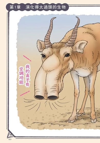 奇妙卻很實用!動物演化知識小百科 (今泉忠明)-Children’s / Teenage general interest: Nature and animals-買書書 BuyBookBook