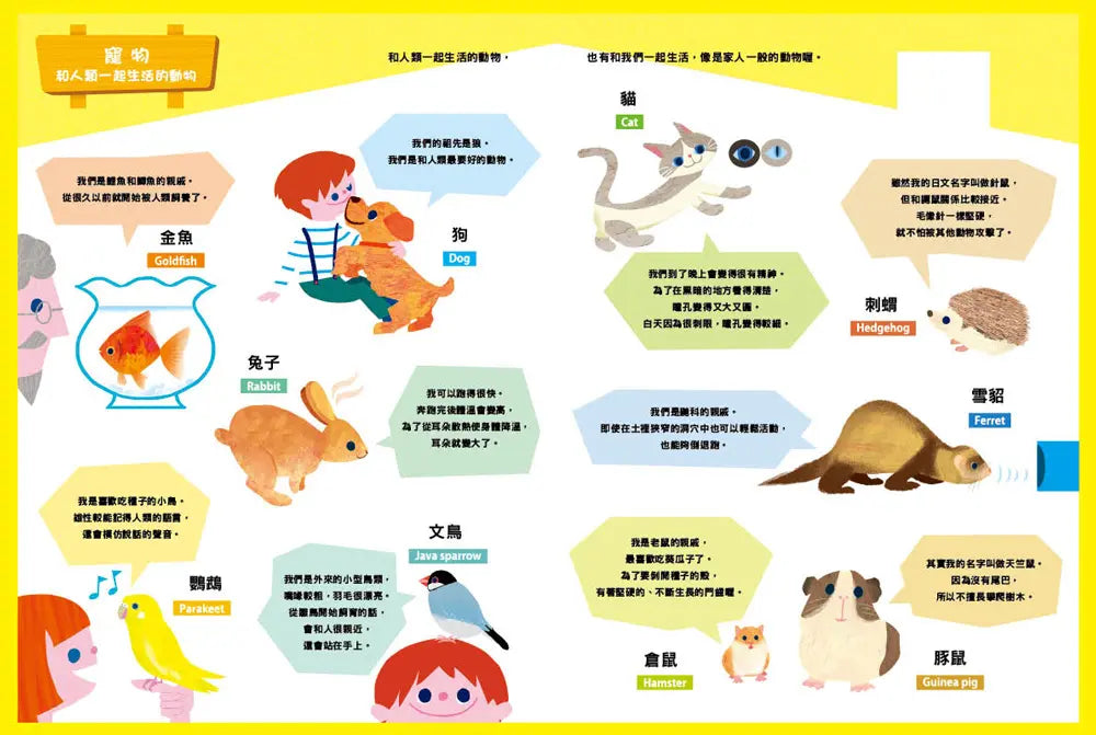 原來動物是這樣子啊!