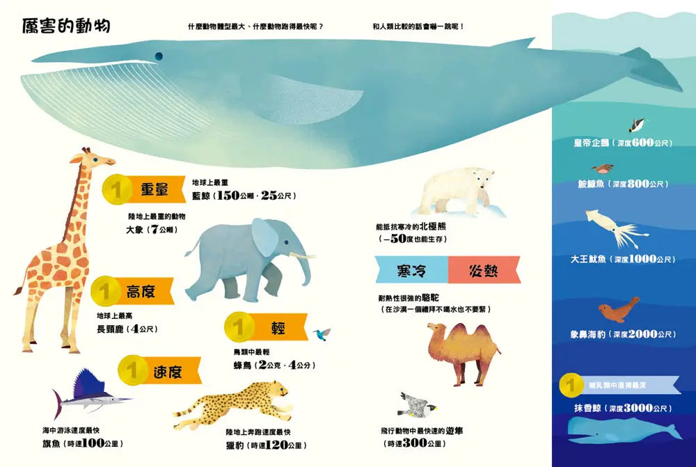 原來動物是這樣子啊!