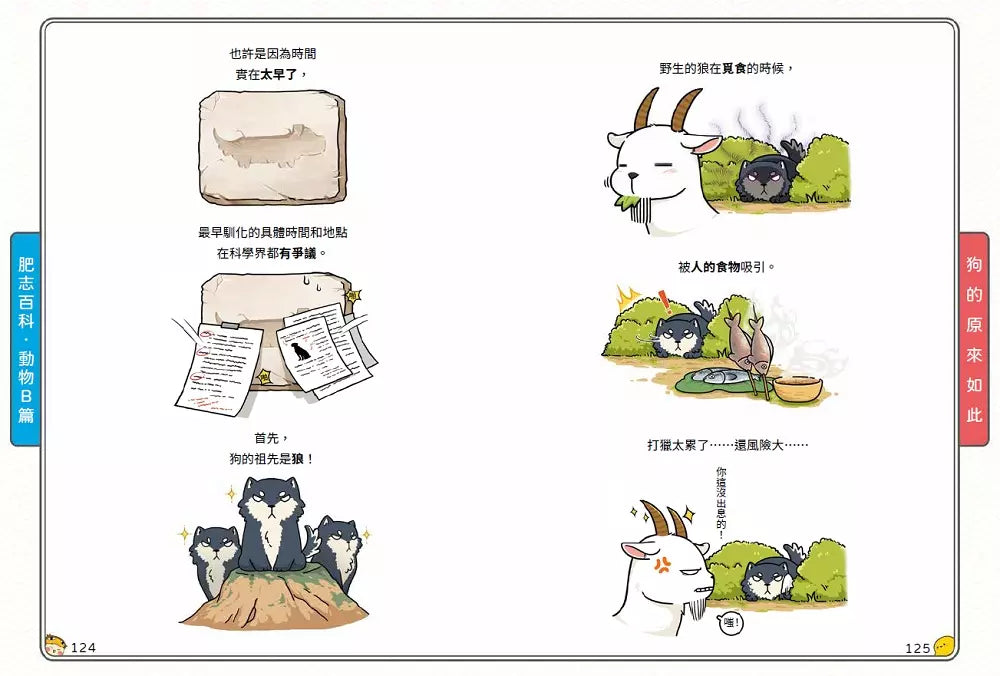 肥志百科4:原來你是這樣的動物B篇-非故事: 動物植物 Animal & Plant-買書書 BuyBookBook