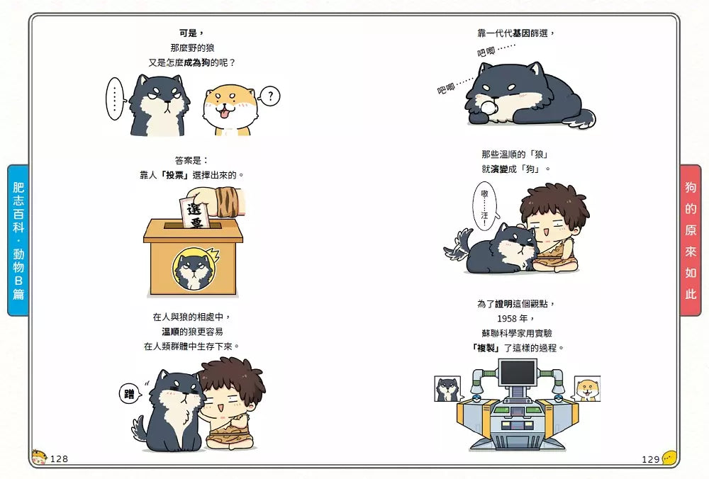 肥志百科4:原來你是這樣的動物B篇-非故事: 動物植物 Animal & Plant-買書書 BuyBookBook
