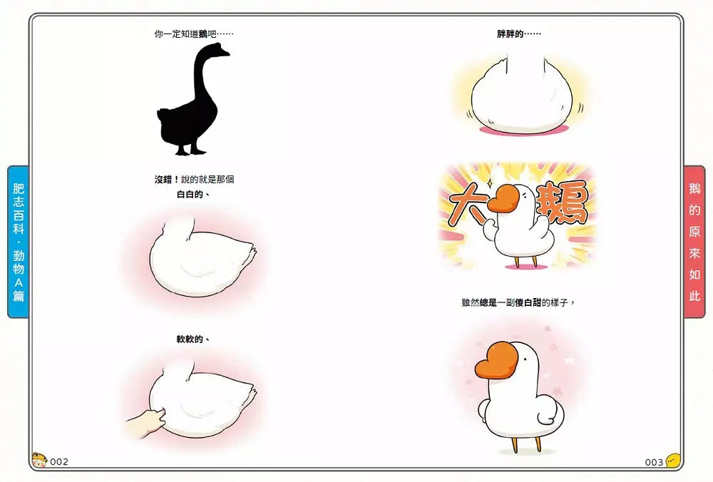 肥志百科3:原來你是這樣的動物A篇-非故事: 動物植物 Animal & Plant-買書書 BuyBookBook
