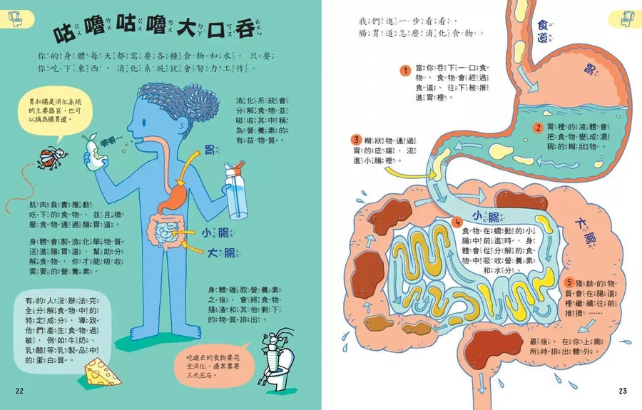 科學起步走:我的身體我知道-非故事: 科學科技 Science & Technology-買書書 BuyBookBook