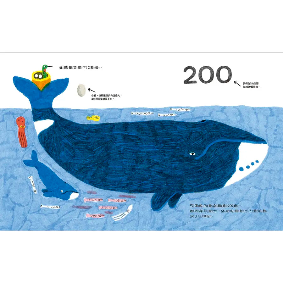 章魚沒有骨頭:0到90億的驚奇之旅