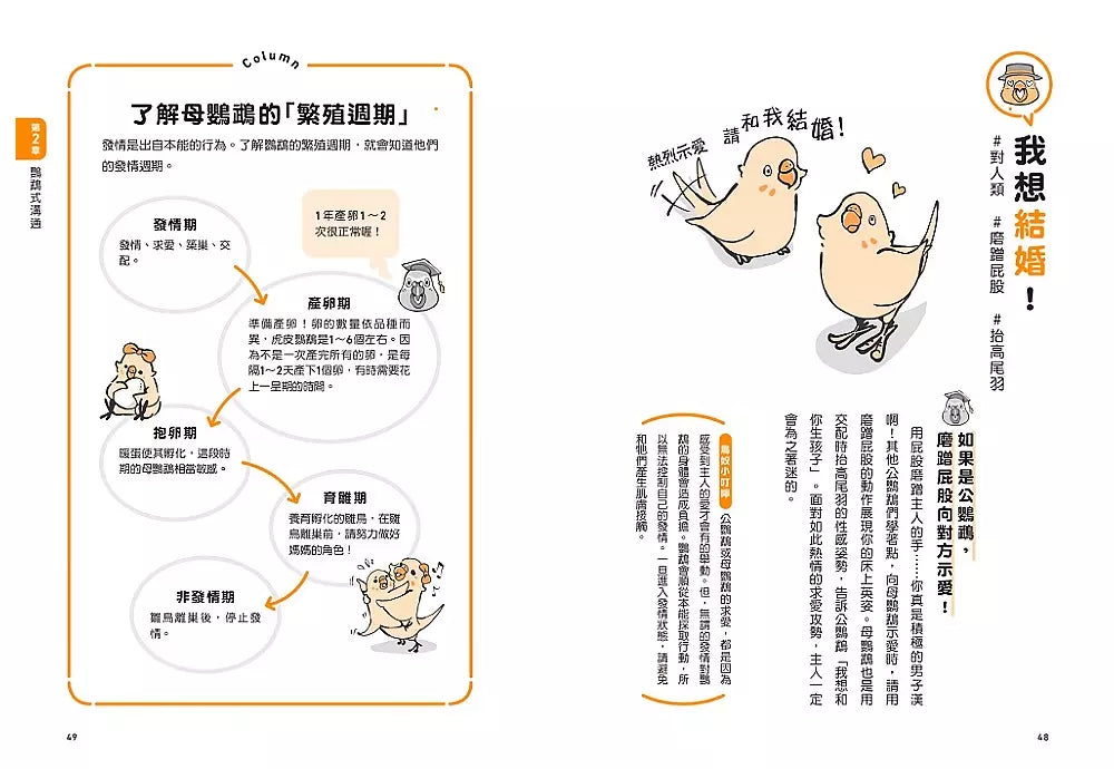 當然問鸚鵡才清楚!最誠實的鸚鵡行為百科【超萌圖解】:日本寵物鳥專家全面解析從習性、溝通到身體祕密的130篇啾啾真心話(二版)