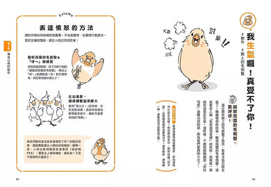 當然問鸚鵡才清楚!最誠實的鸚鵡行為百科【超萌圖解】:日本寵物鳥專家全面解析從習性、溝通到身體祕密的130篇啾啾真心話(二版)