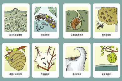 這隻甲蟲很天兵 2 不可能只有我沒有房子住吧?-故事: 歷險科幻 Adventure & Science Fiction-買書書 BuyBookBook