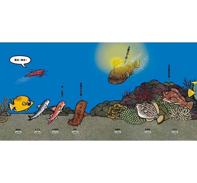 海底在排什麼呢?-故事: 兒童繪本 Picture Books-買書書 BuyBookBook