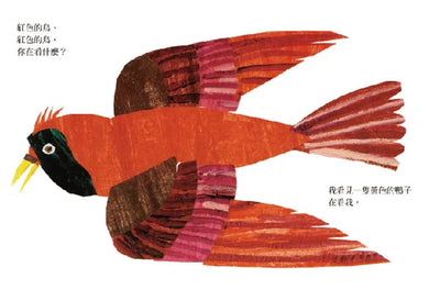 棕色的熊、棕色的熊,你在看什麼? (Eric Carle) (紙板書)-非故事: 語文學習 Language Learning-買書書 BuyBookBook