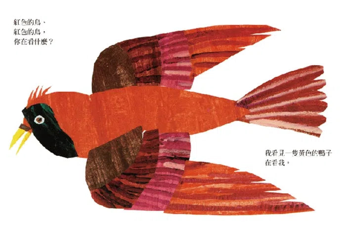 棕色的熊、棕色的熊,你在看什麼? (Eric Carle) (紙板書)-非故事: 語文學習 Language Learning-買書書 BuyBookBook