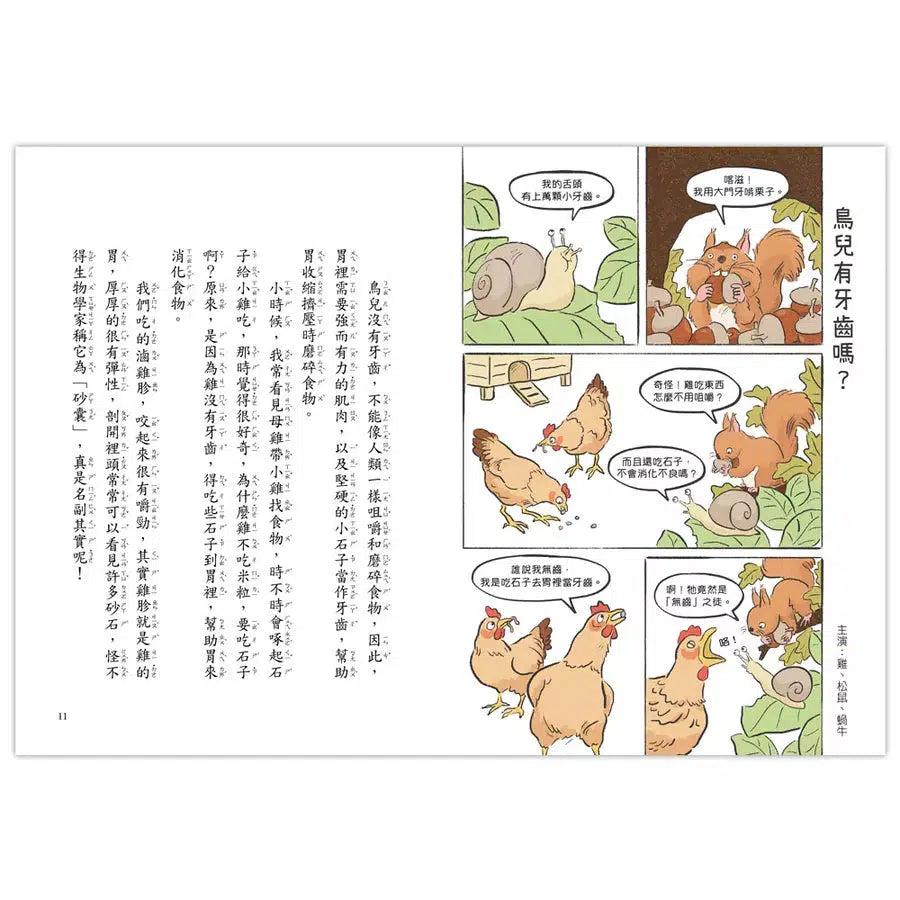 就愛鳥事一籮筐 (35題趣問妙答,愛上鳥事一籮筐)-非故事: 動物植物 Animal & Plant-買書書 BuyBookBook