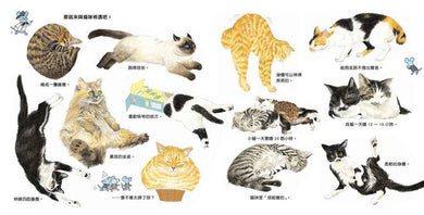 貓咪亮相了!-非故事: 動物植物 Animal & Plant-買書書 BuyBookBook