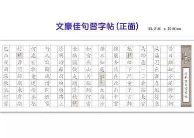 大貓熊文豪班 (六冊套書) 李白熊帶頭玩, 詩詞古文原來這麼萌 (附佳句習字帖拉頁)-非故事: 語文學習 Language Learning-買書書 BuyBookBook