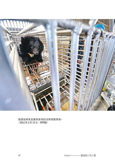 尋找動物烏托邦:跨越國界的動保前線紀實-非故事: 人物傳記 Biography-買書書 BuyBookBook