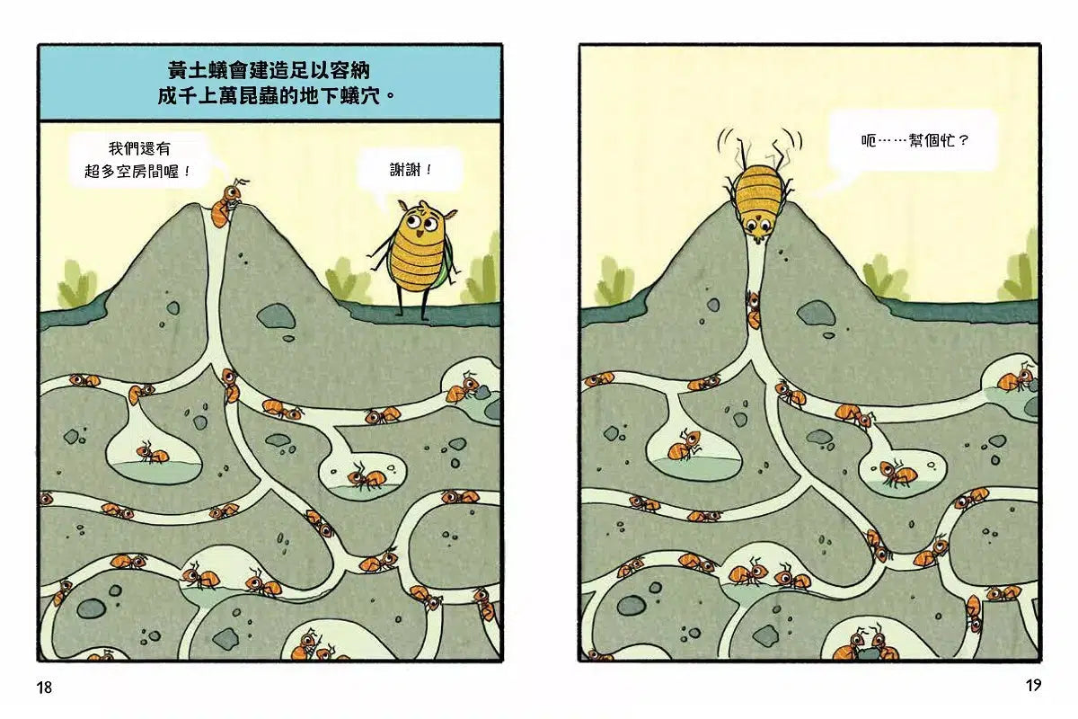 這隻甲蟲很天兵 2 不可能只有我沒有房子住吧?-故事: 歷險科幻 Adventure & Science Fiction-買書書 BuyBookBook