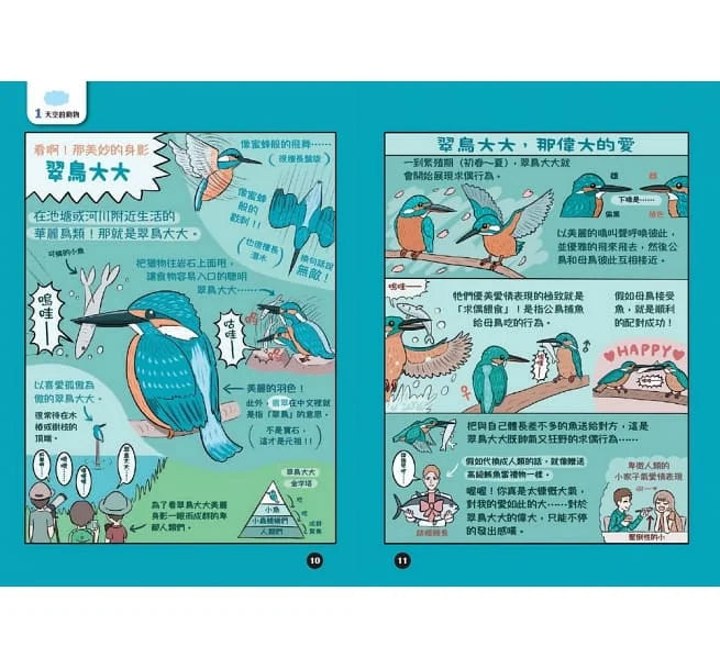 有怪癖的動物超棒的!圖鑑-非故事: 動物植物 Animal & Plant-買書書 BuyBookBook