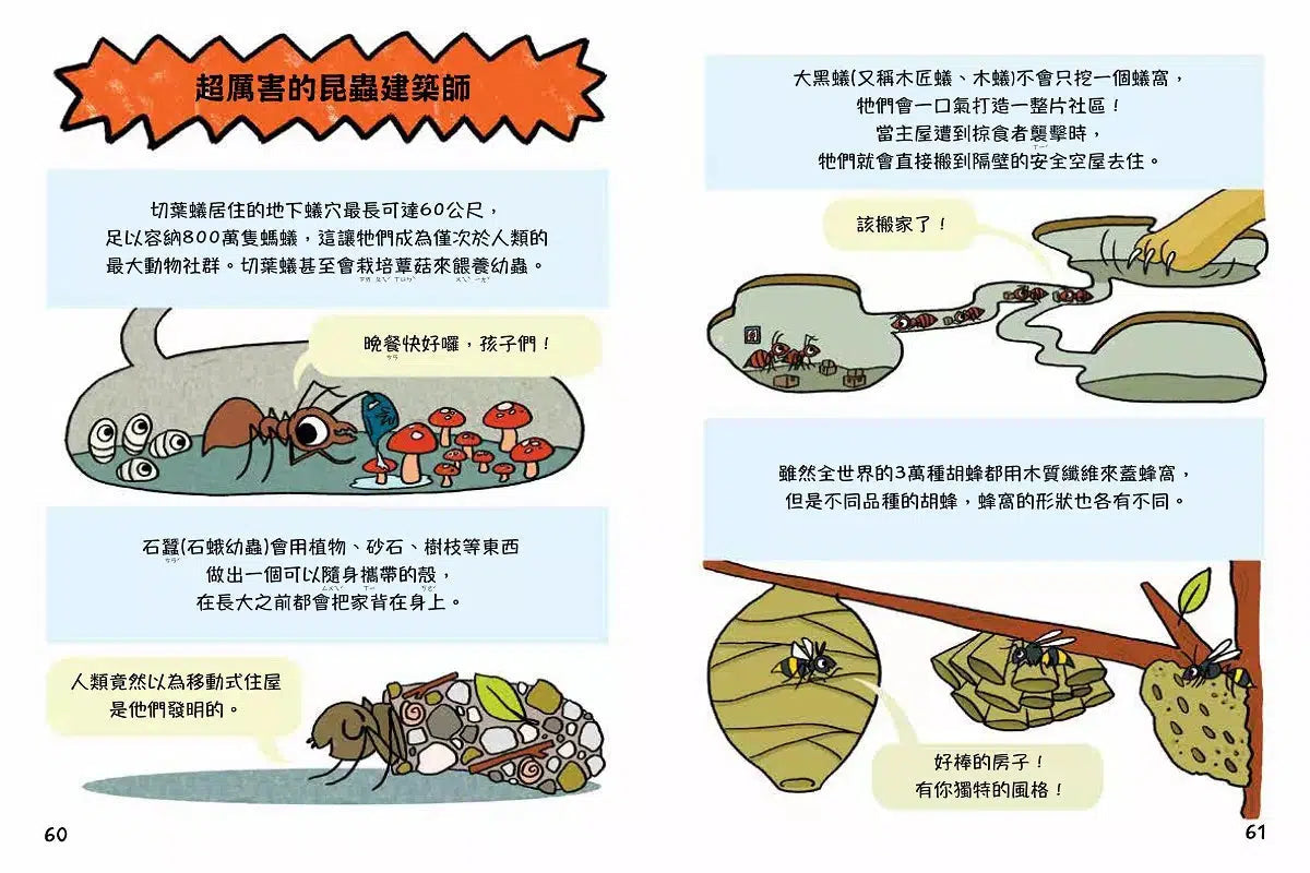 這隻甲蟲很天兵 2 不可能只有我沒有房子住吧?-故事: 歷險科幻 Adventure & Science Fiction-買書書 BuyBookBook
