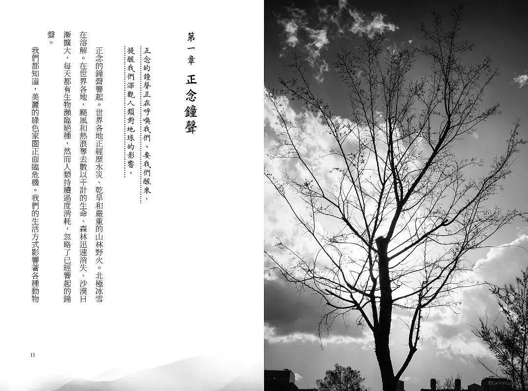 正念擁抱大地:當我們觀想自己為一棵樹…-非故事: 心理勵志 Self-help-買書書 BuyBookBook