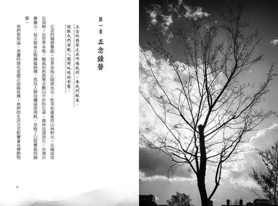 正念擁抱大地:當我們觀想自己為一棵樹…-非故事: 心理勵志 Self-help-買書書 BuyBookBook