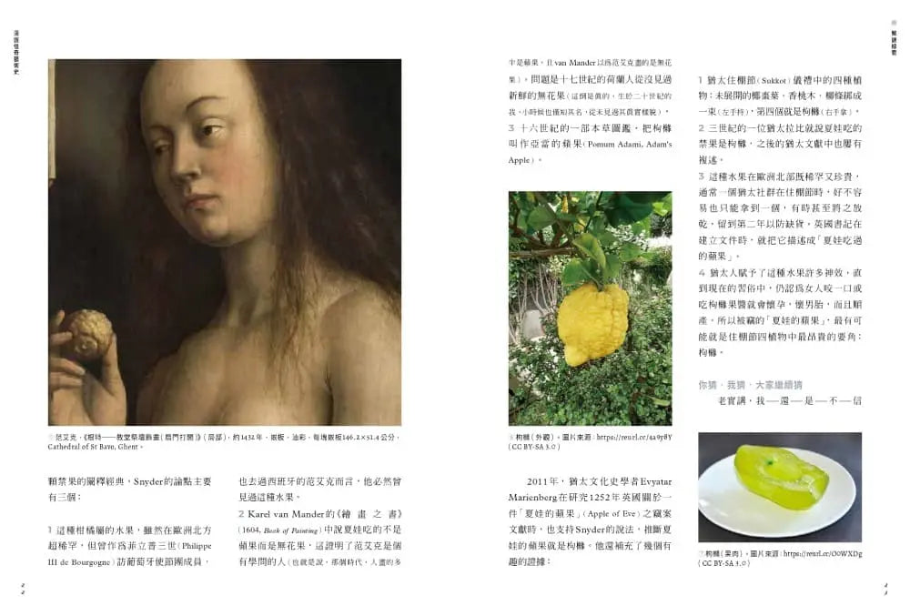怪奇藝術史:在地作者帶你從怪奇小路,走進藝術史的冷知識和驚嘆號!-Art: general-買書書 BuyBookBook