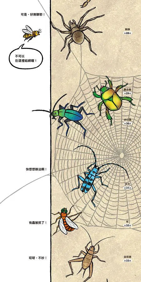 昆蟲在排什麼呢?-非故事: 動物植物 Animal & Plant-買書書 BuyBookBook