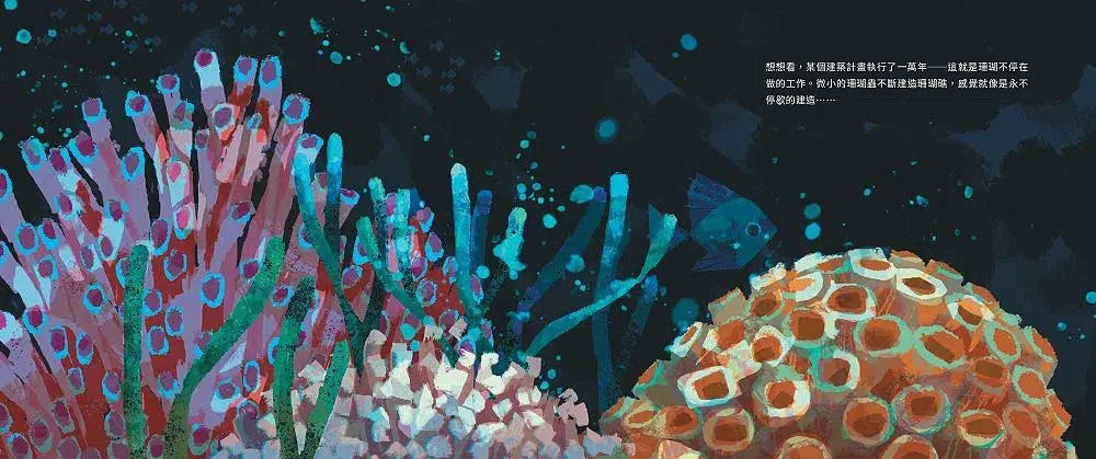 上天下海,動物蓋房子-故事: 兒童繪本 Picture Books-買書書 BuyBookBook