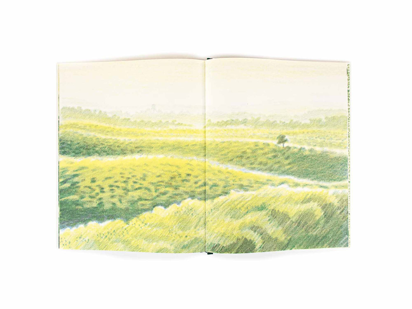 Bandoola The Great Elephant Rescue-Fiction: 歷史故事 Historical-買書書 BuyBookBook
