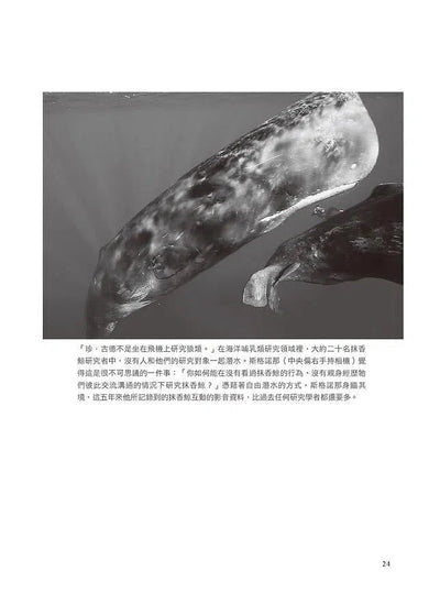 深:海洋怪奇物語,自由潛水人、叛逆科學家與我們的海洋手足(《紐約時報書評》編輯選書)-非故事: 科學科技 Science & Technology-買書書 BuyBookBook