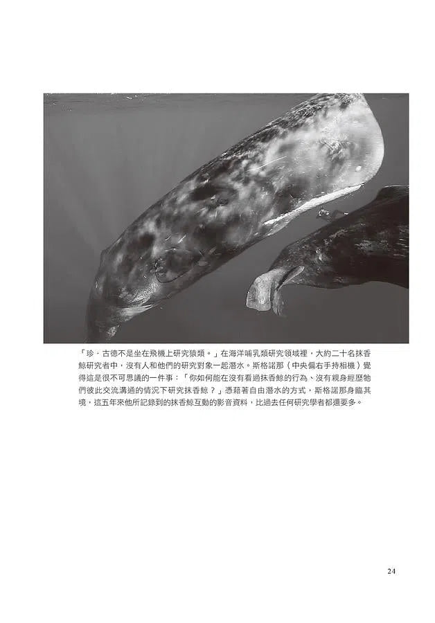 深:海洋怪奇物語,自由潛水人、叛逆科學家與我們的海洋手足(《紐約時報書評》編輯選書)-非故事: 科學科技 Science & Technology-買書書 BuyBookBook