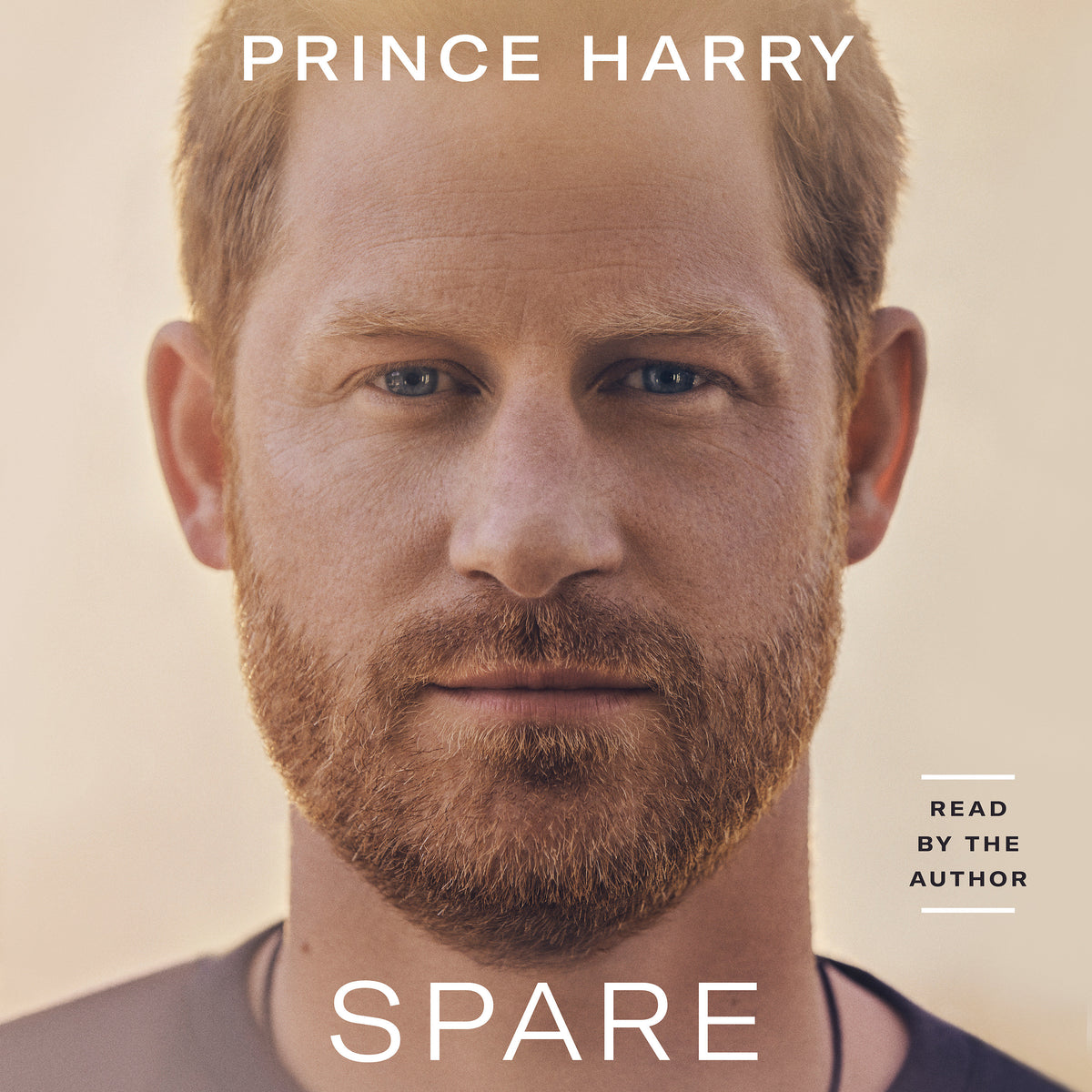 Spare cover (ISBN 9780593677858)