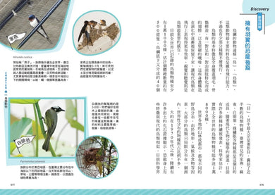 一年份的自然課: 動物大日子套書 (附全年動物大日子生態年表/2冊合售)