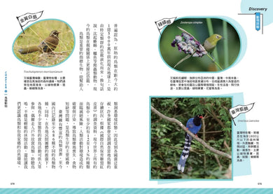 一年份的自然課: 動物大日子套書 (附全年動物大日子生態年表/2冊合售)