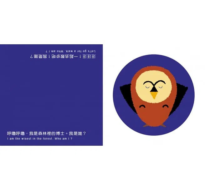 顛倒看世界 - 我是誰?(中英雙語對照)-非故事: 學前基礎 Preschool Basics-買書書 BuyBookBook