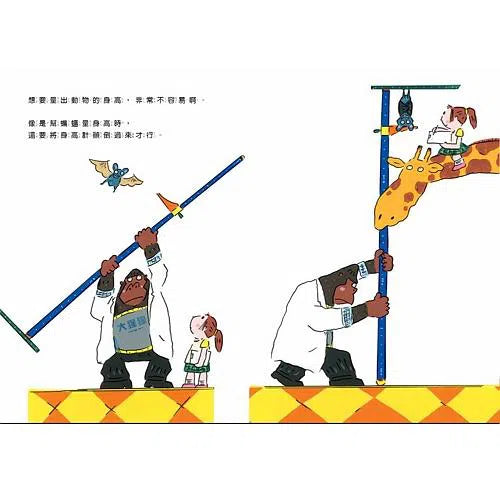 排排隊,動物量身高-非故事: 常識通識 General Knowledge-買書書 BuyBookBook