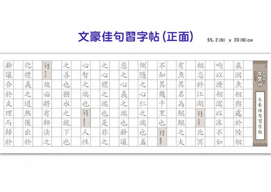 大貓熊文豪班 4 跟莊子熊學古文 (附「佳句習字帖」拉頁)-非故事: 語文學習 Language Learning-買書書 BuyBookBook