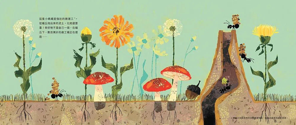 上天下海,動物蓋房子-故事: 兒童繪本 Picture Books-買書書 BuyBookBook