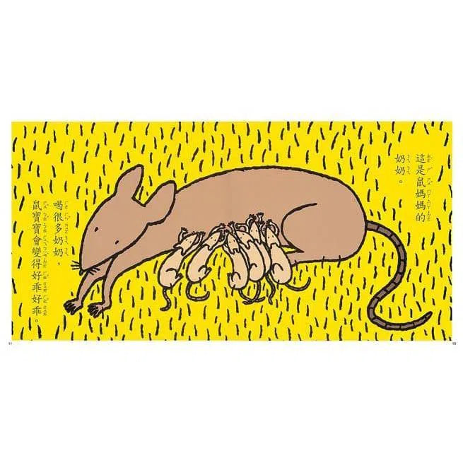 奶奶 (宮西達也)-故事: 兒童繪本 Picture Books-買書書 BuyBookBook